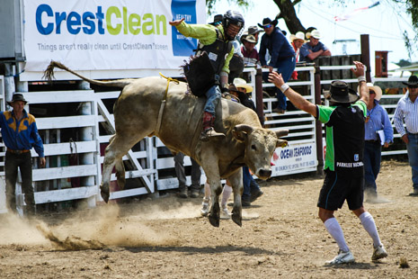 The CrestClean banner provided a bright, clean background for the professional shots from Zach Rayner at Pitbull Photography.