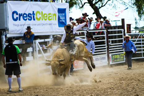 The CrestClean banner provided a bright, clean background for the professional shots from Zach Rayner at Pitbull Photography.