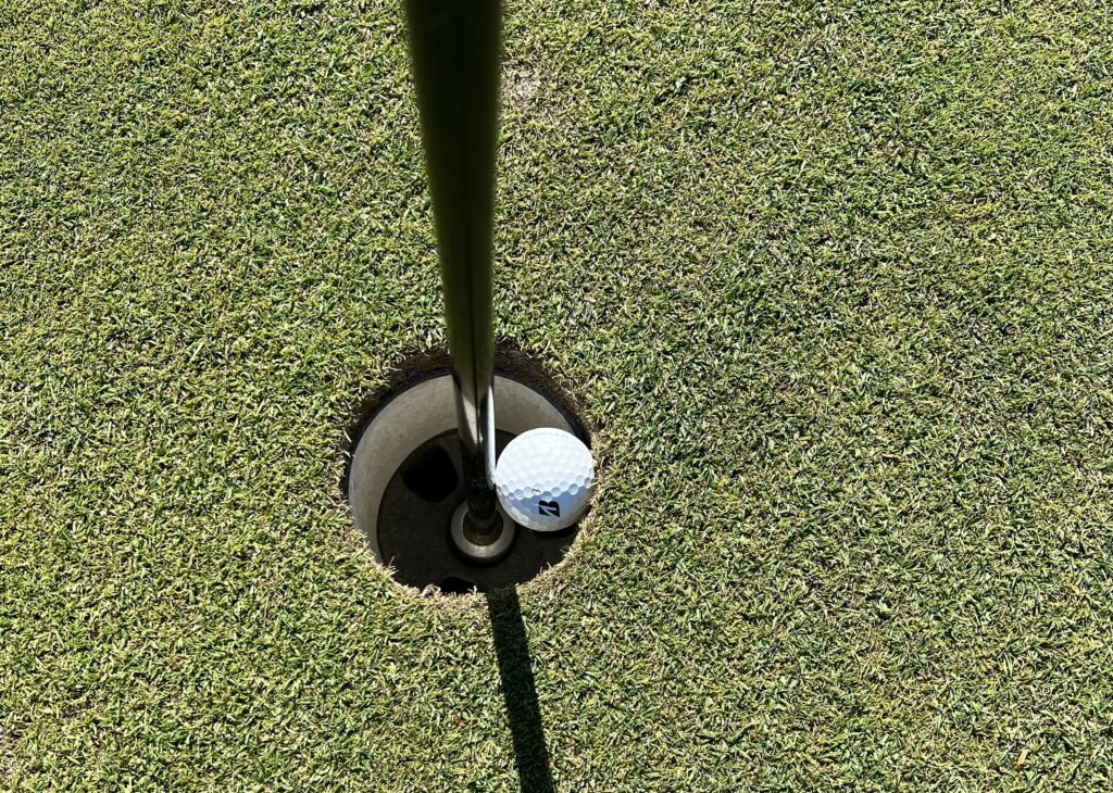 Woo-Sung captures the moment he hit a hole in one.