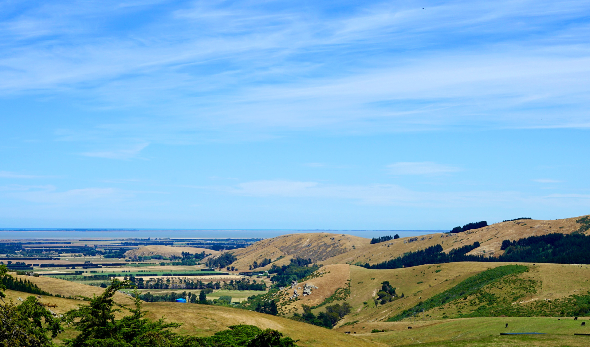 Selwyn District