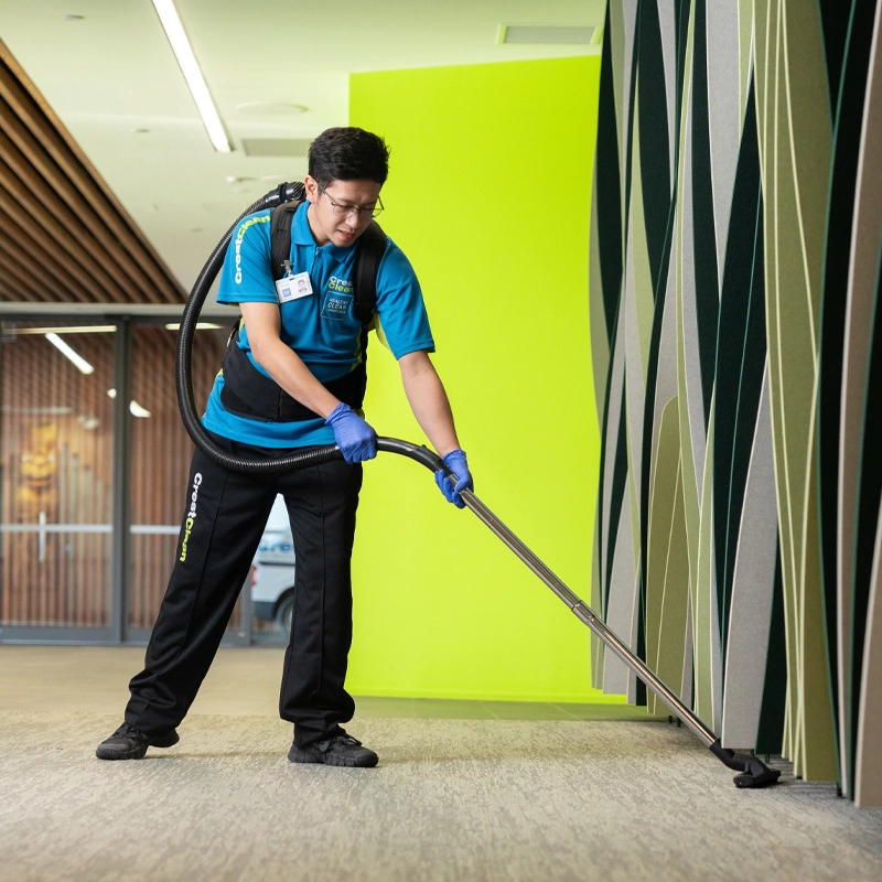 Carpet Cleaner Zespri